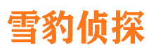 阿城侦探